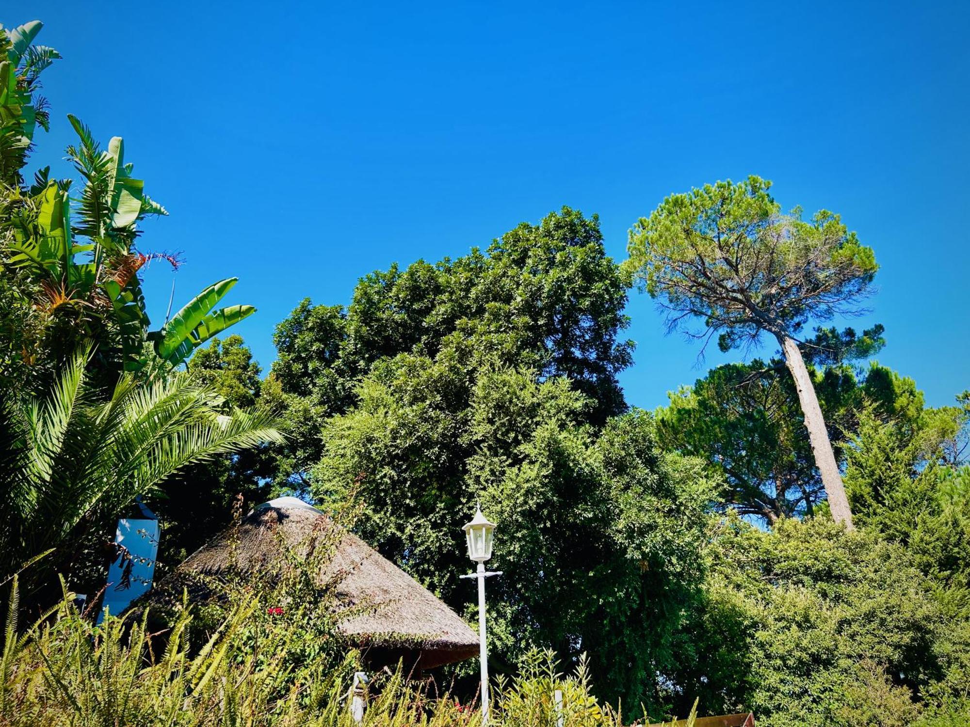 Villa Helderberg Somerset West Exterior photo